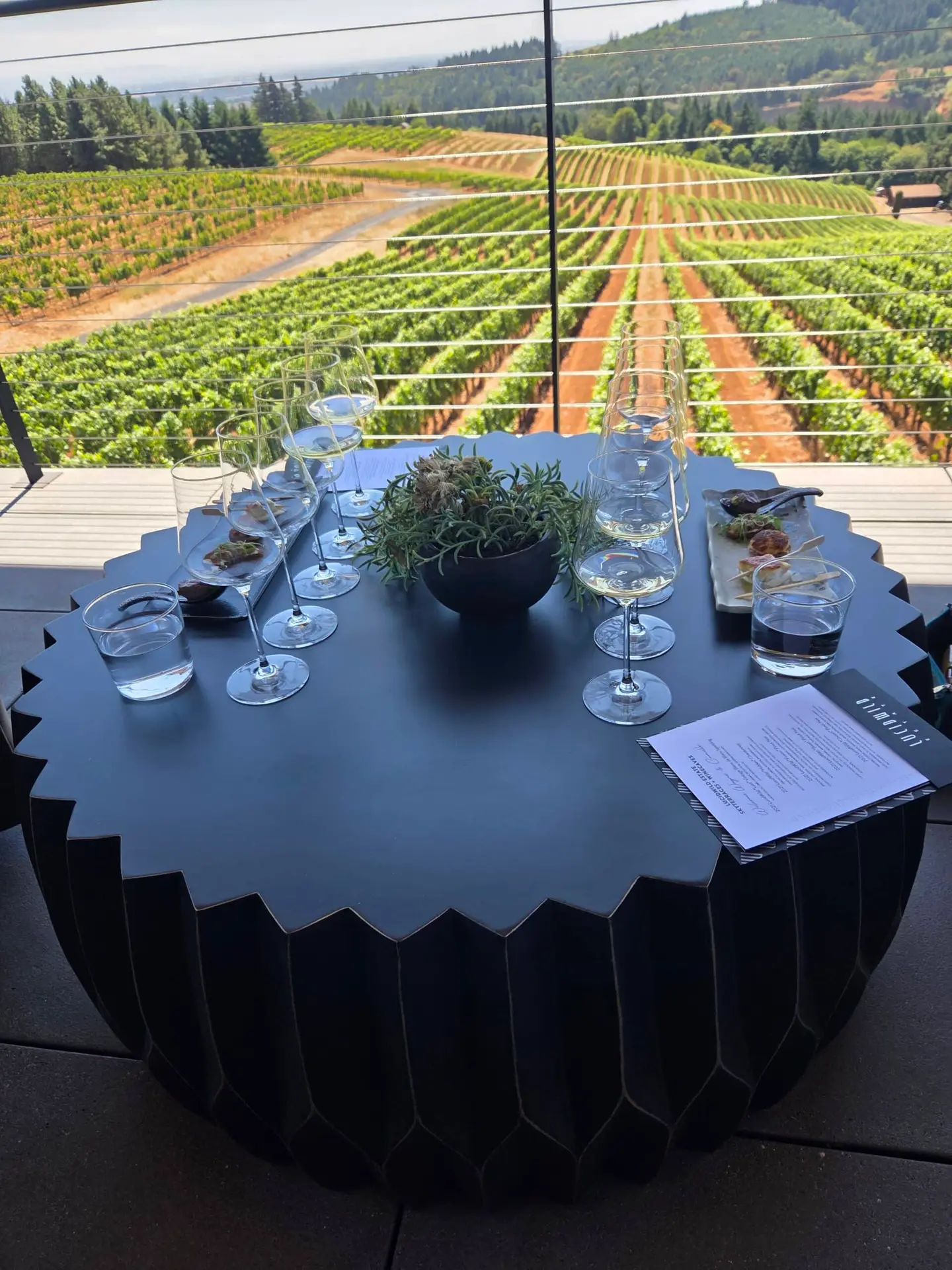 Guests on the Private Wine Tour in the Willamette Valley