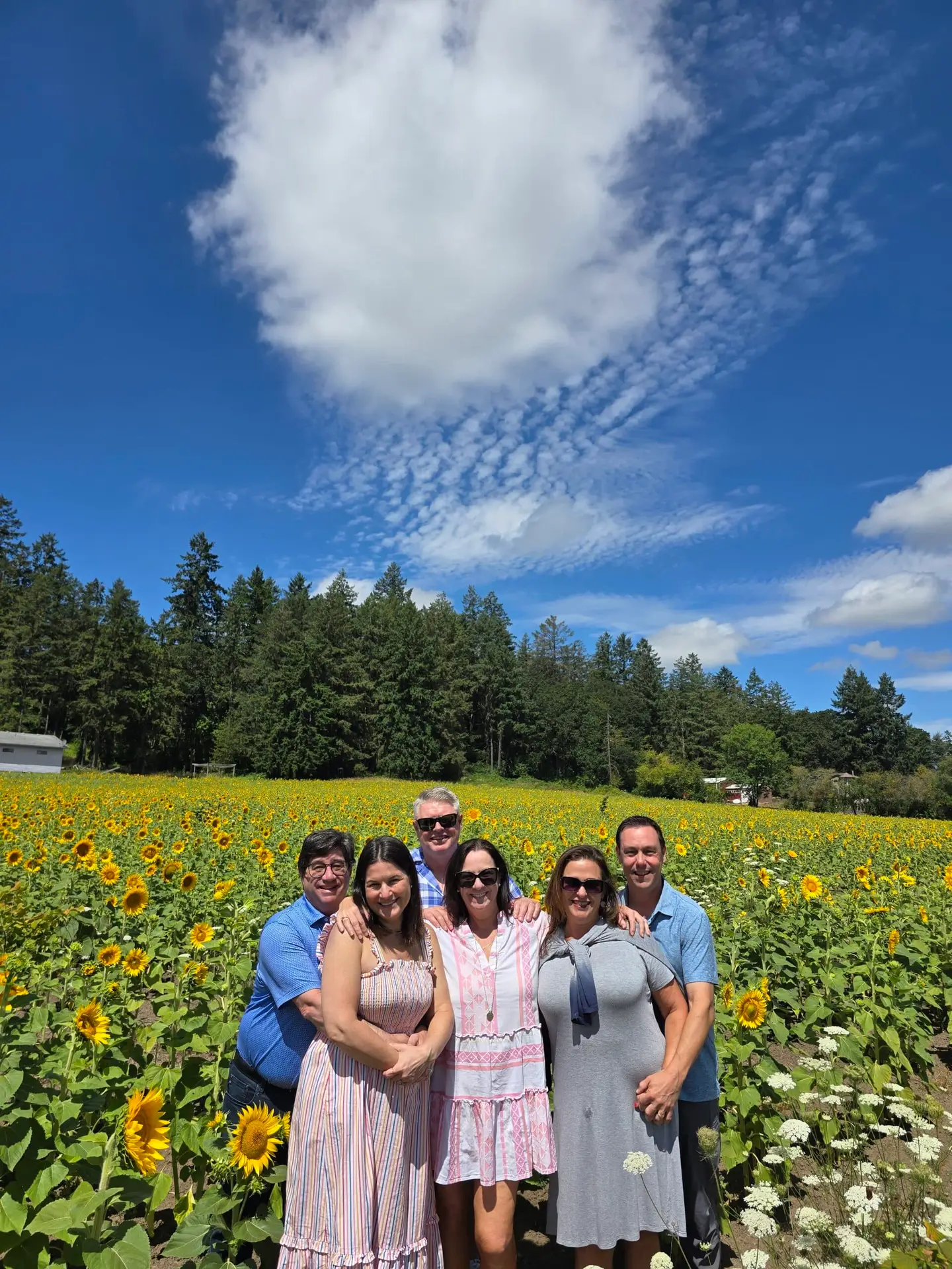 Vineyard visit on the Private Wine Tour