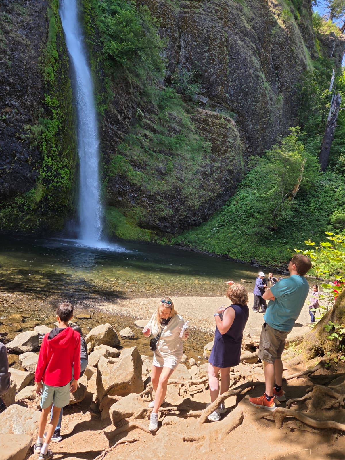 Willamette Valley Waterfalls and Wine Tour scenery