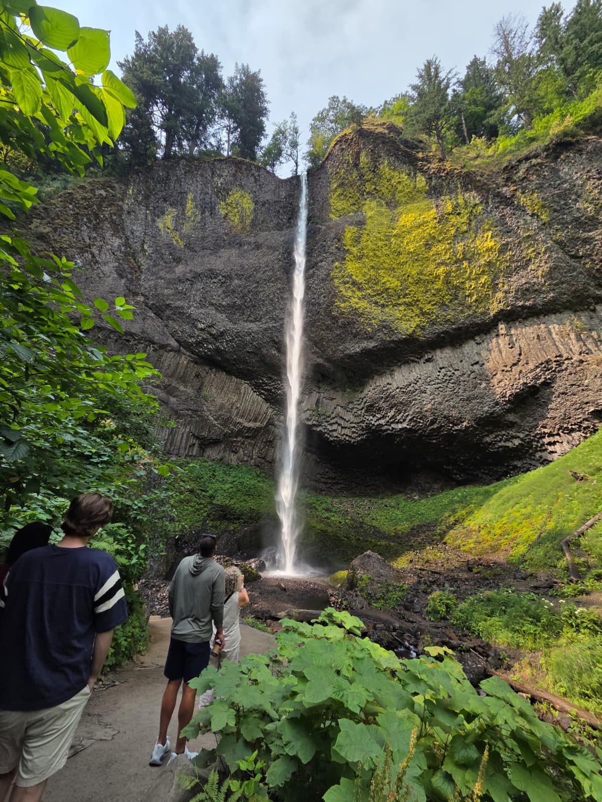 Willamette Valley waterfalls on the Waterfalls and Wine Tour
