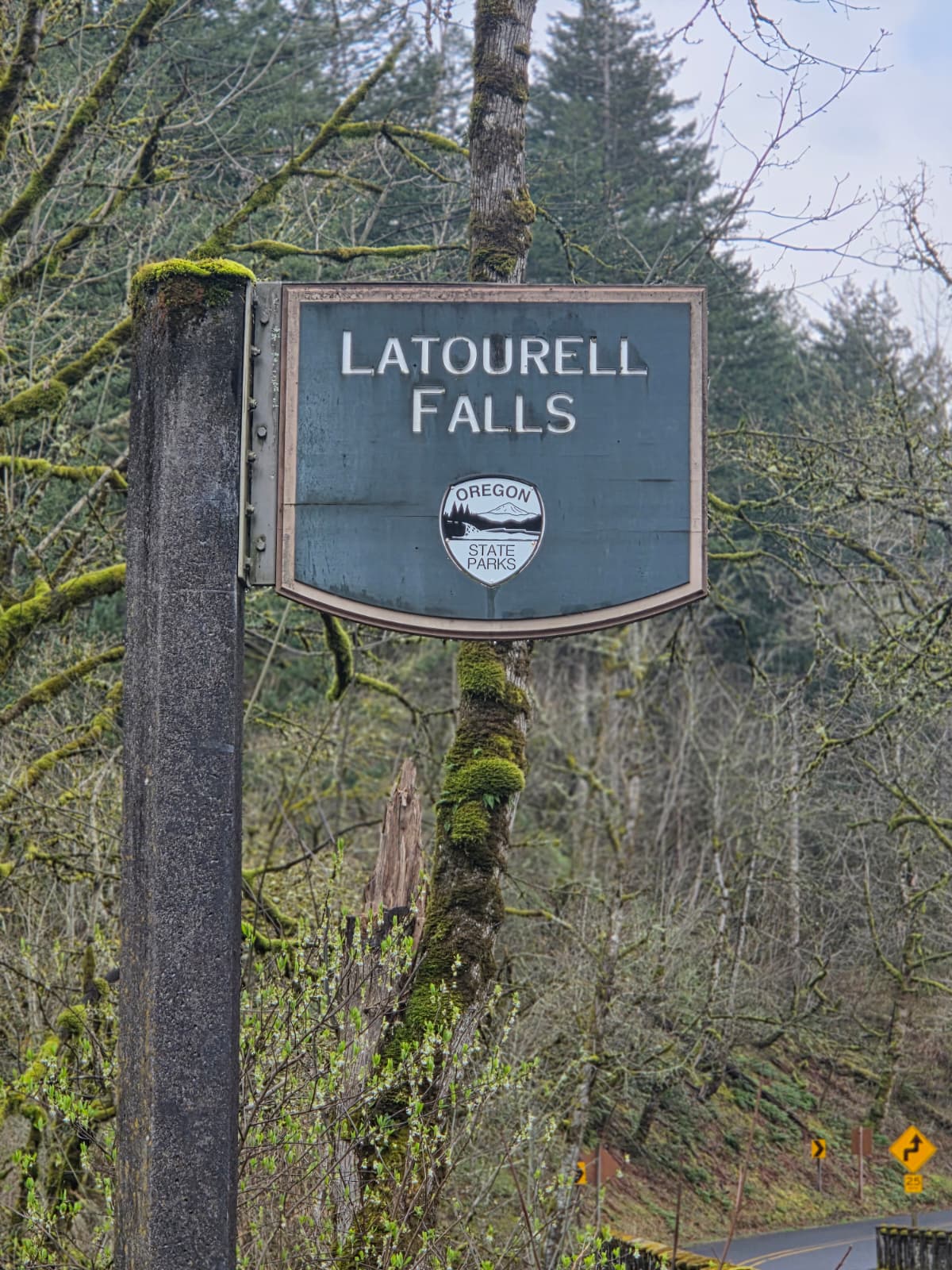 Oregon State Parks sign for Latourell Falls mounted on a mossy post among moss-covered trees along the Historic Columbia River Highway