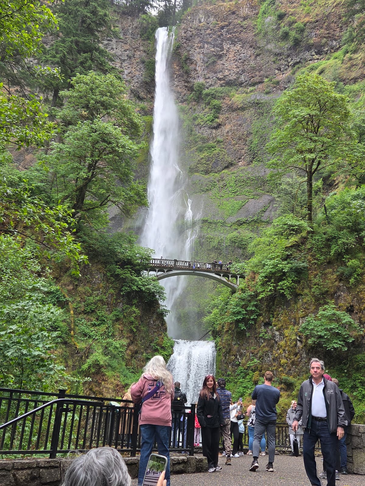 Multnomah Falls plunging past the historic Benson Footbridge, surrounded by green forest, with visitors at the viewing platform